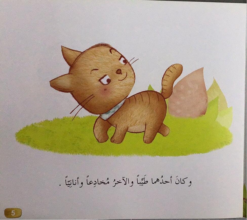القط العنيد