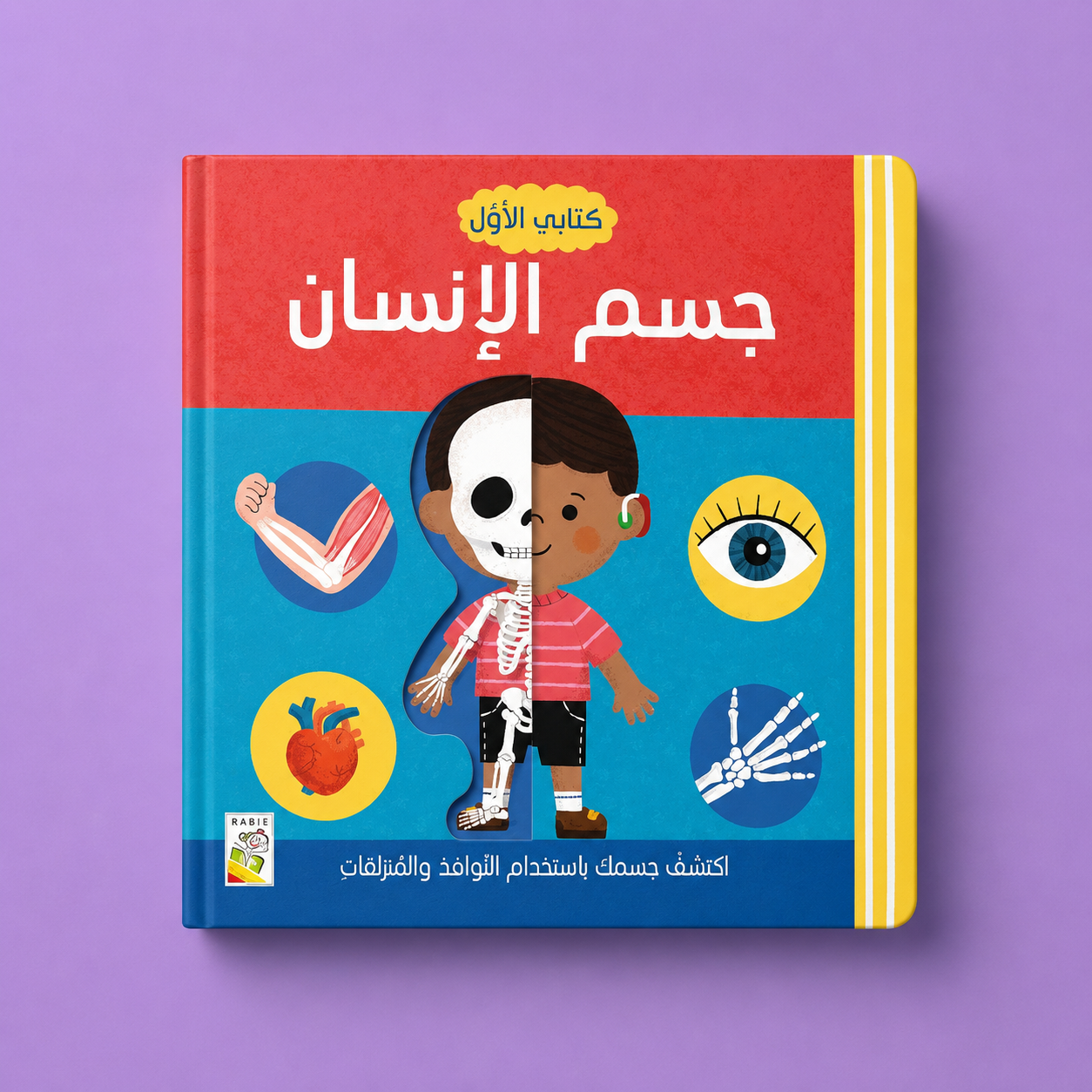 كتابي الاول جسم الانسان
